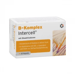 Import produktów XML malowia.pl